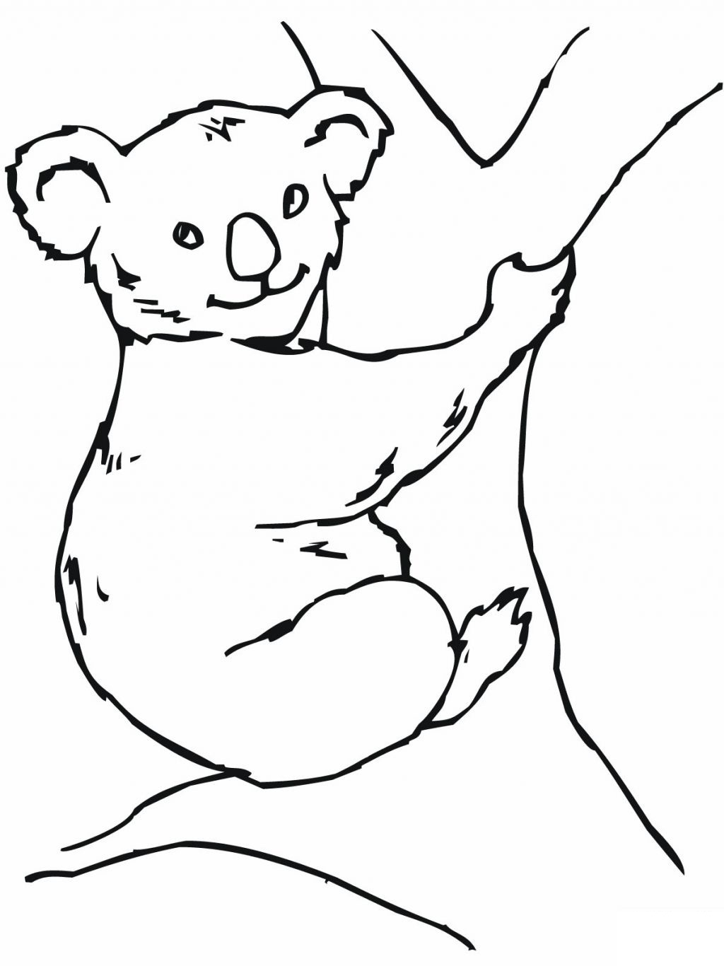 Раскраска коала с малышом