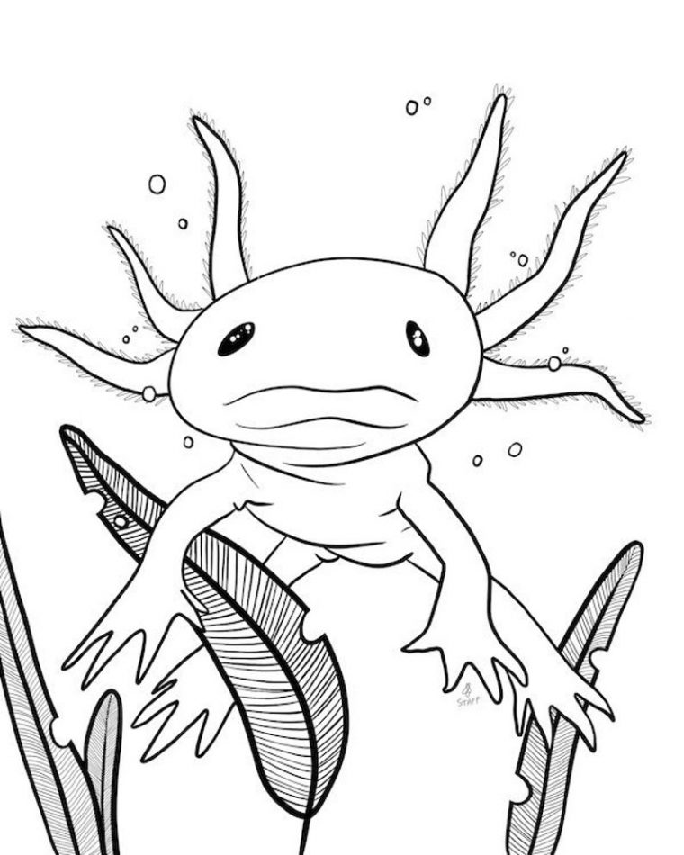 coloring pages axolotl