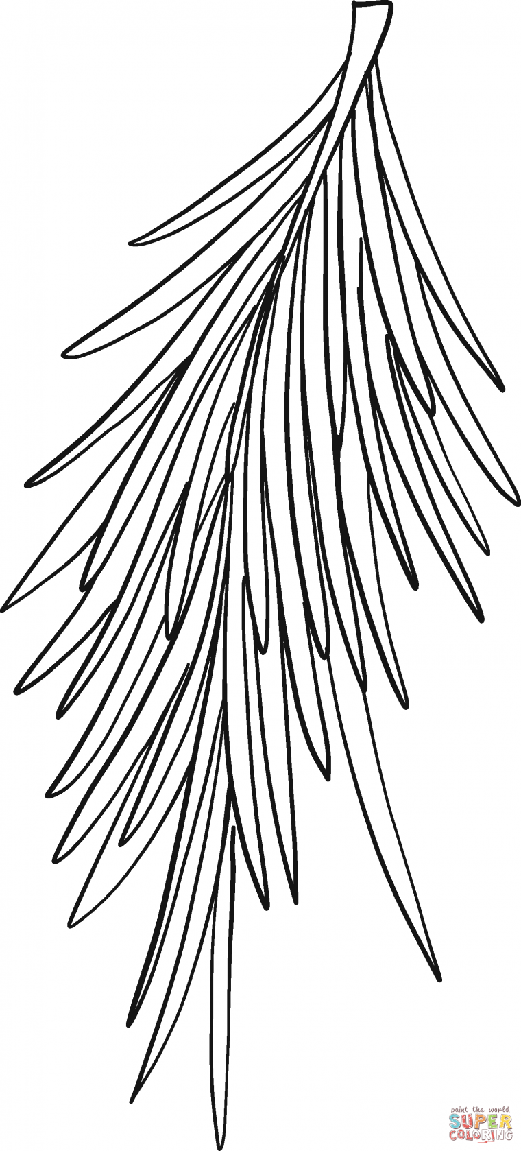 tree branch coloring page