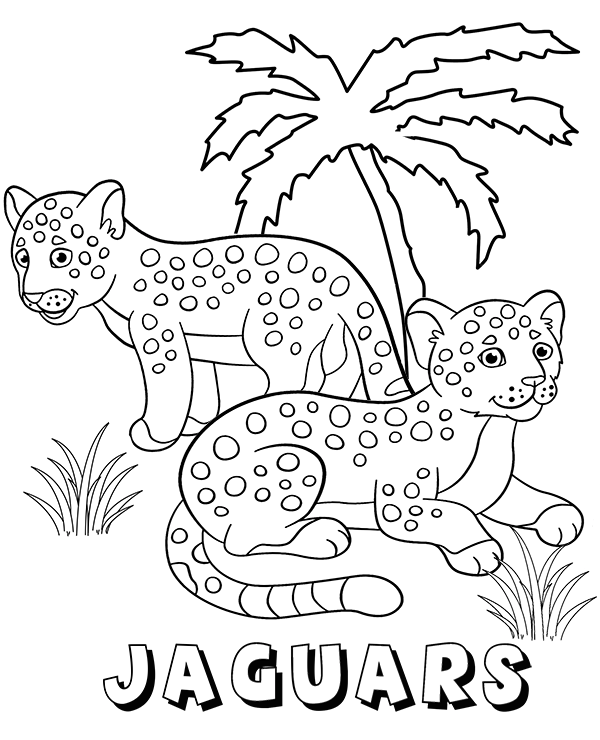 coloring pages of jaguars