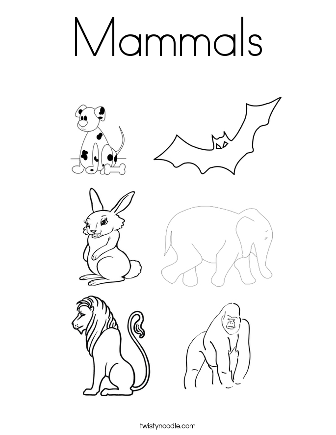 mammal coloring pages