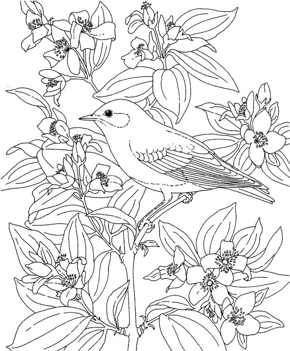 purple coloring pages