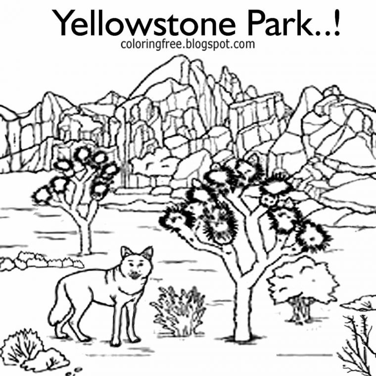 yellowstone coloring pages