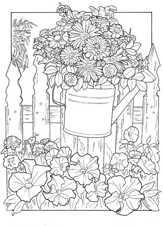 summer flower coloring pages