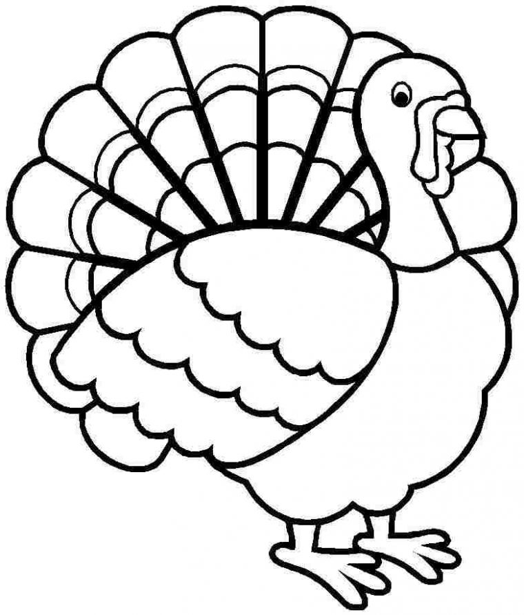 turkey clipart coloring page