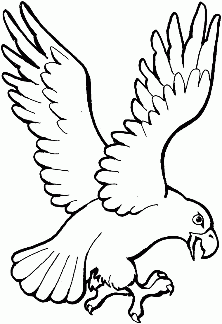 eagle printable coloring pages