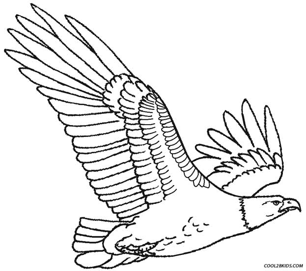 printable eagle coloring pages