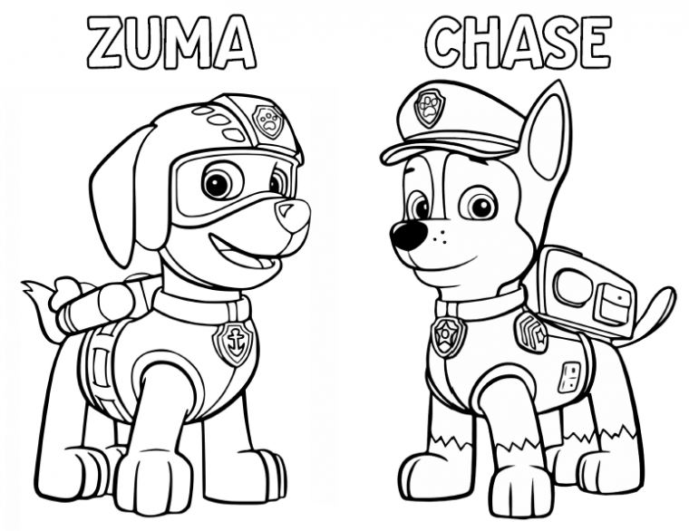 zuma coloring page