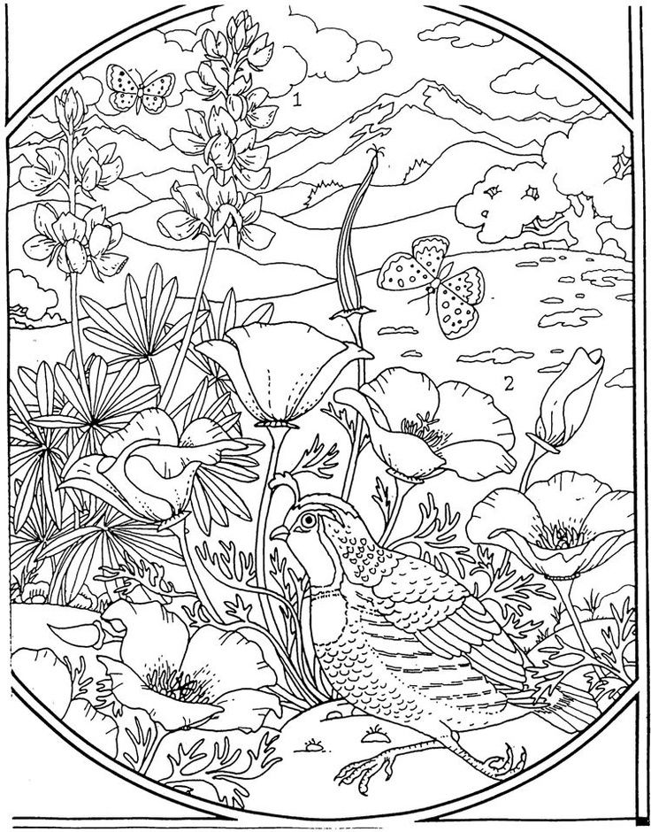 advanced flower coloring pages