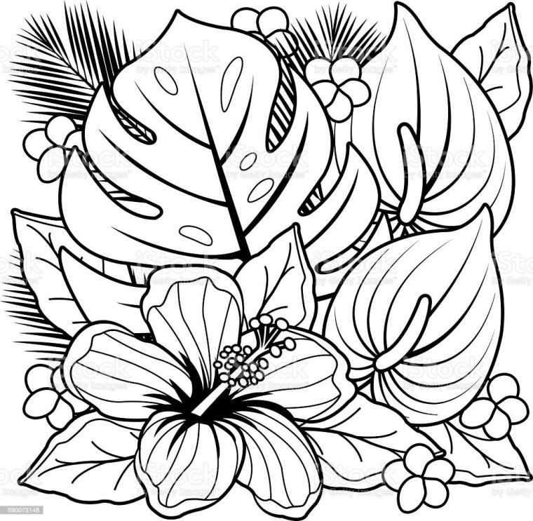 cute plant coloring pages