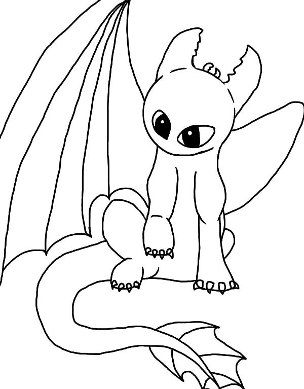 night fury coloring pages