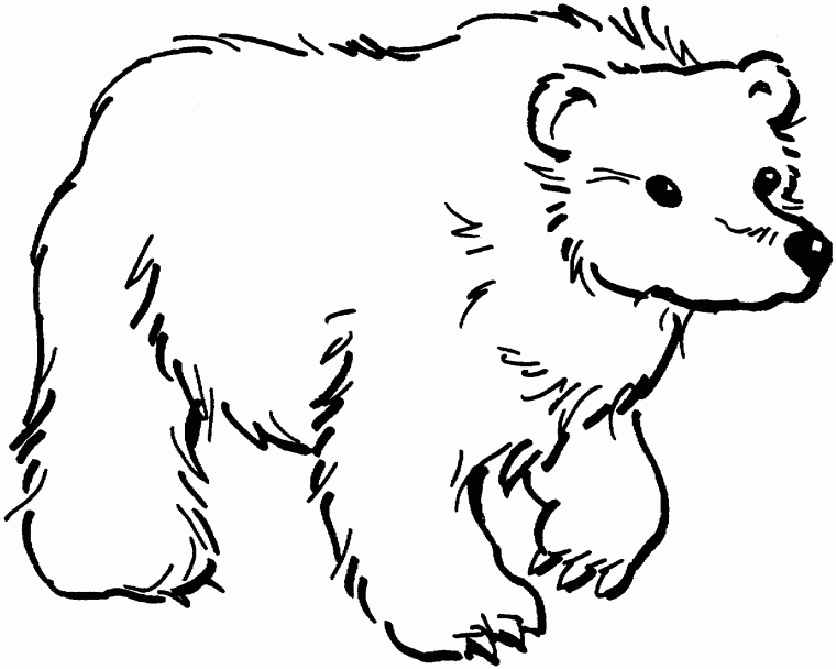 coloring page bears