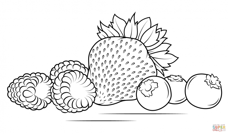 berry coloring pages