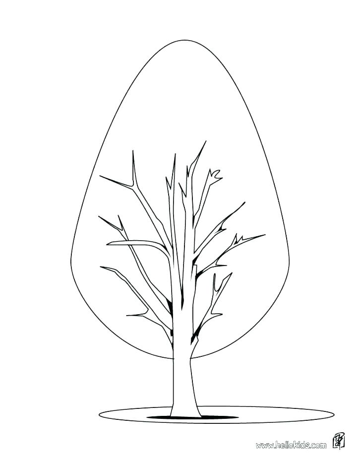 palm leaf coloring page