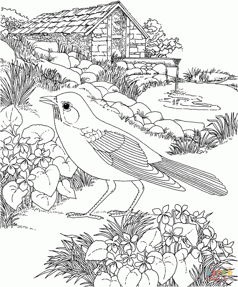 garden coloring pages printable