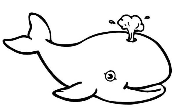 cute whale coloring pages