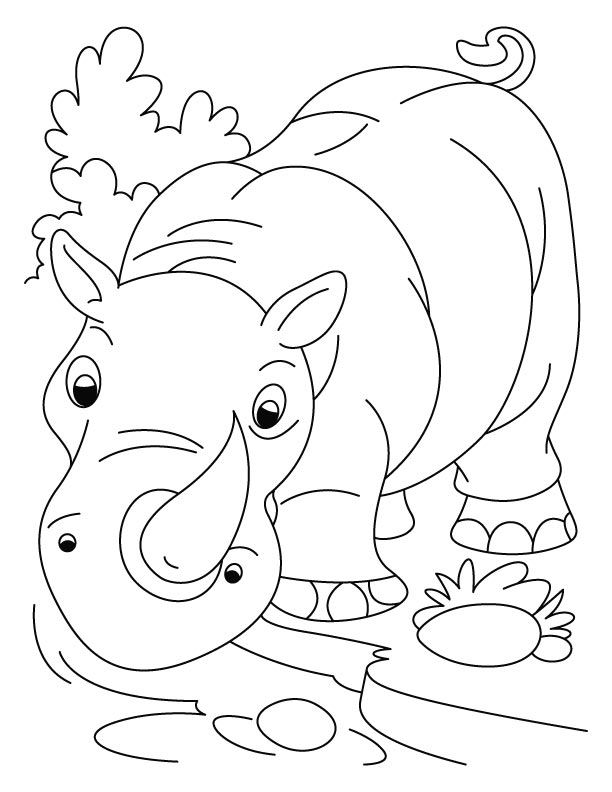 rhinoceros coloring pages