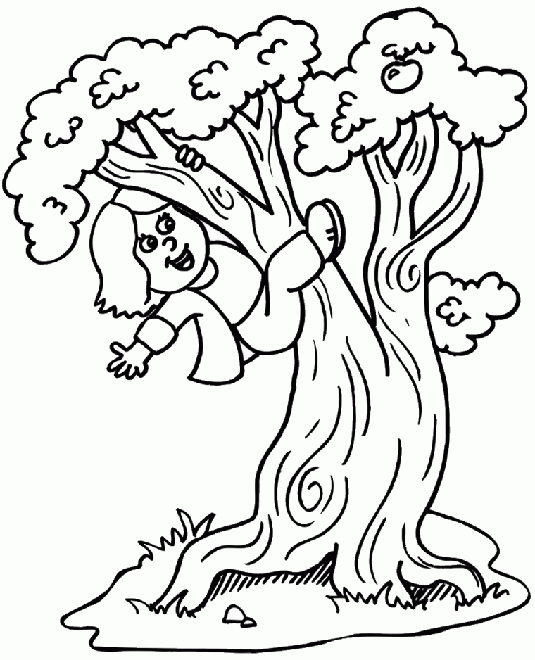 tu bishvat coloring pages