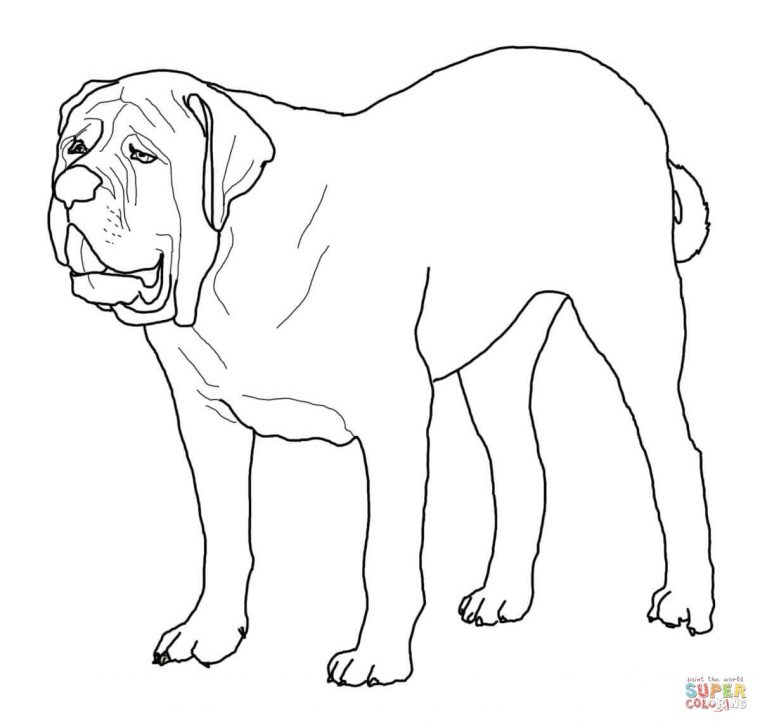 english bulldog coloring pages