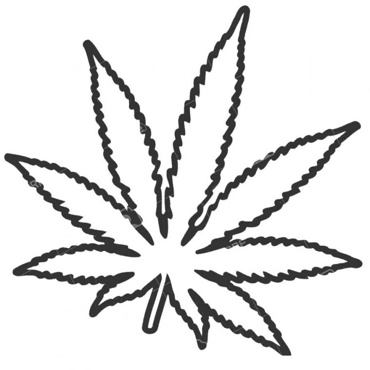 pot leaf coloring pages