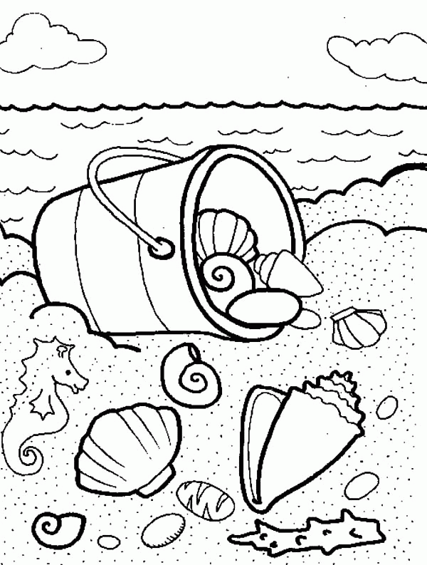 coloring pages of seashells