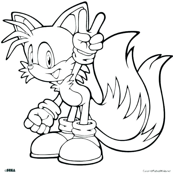 cute hedgehog coloring page