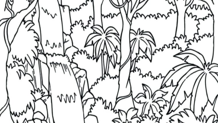 waterfall coloring pages