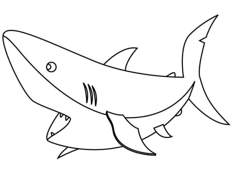 great white shark shark coloring pages