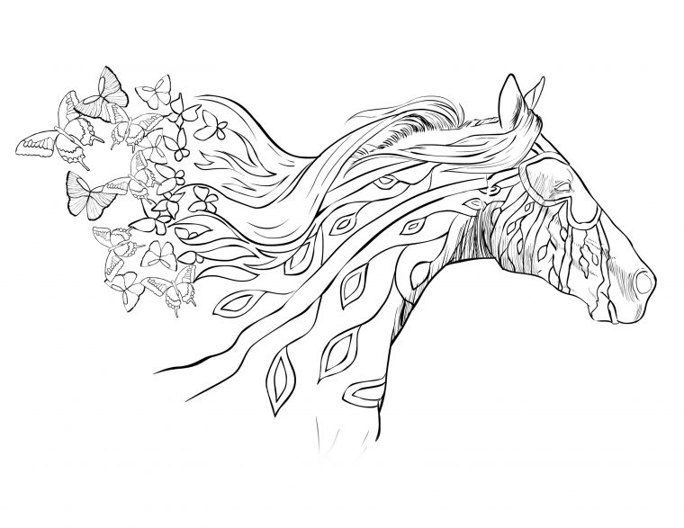 wild beautiful horse coloring pages