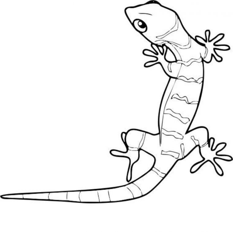 gekko coloring pages