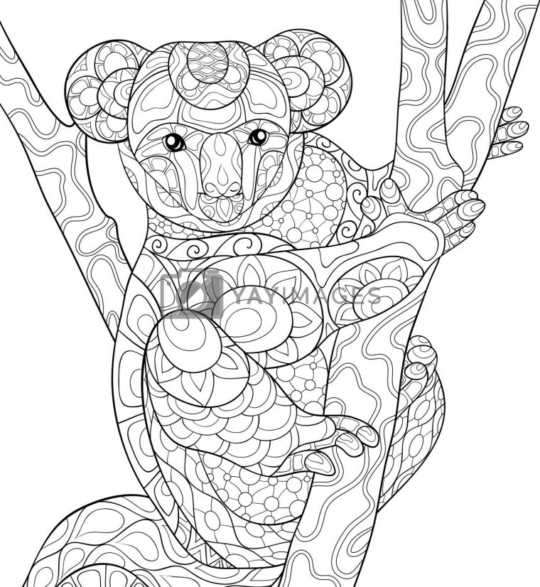 coloring page koala