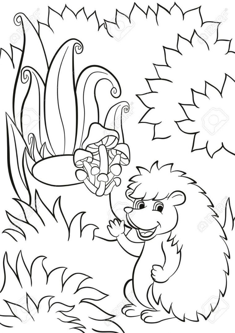 cute hedgehog coloring pages