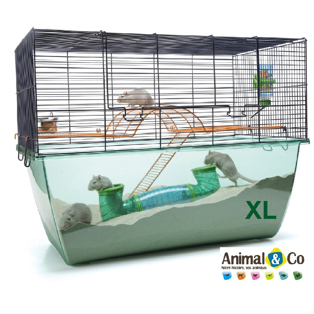 Cage Habitat Pour Petits Rongeurs - Animal & Co tout Photo Cage