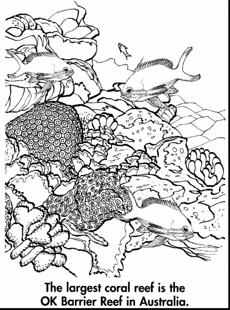 coral reef coloring page pdf