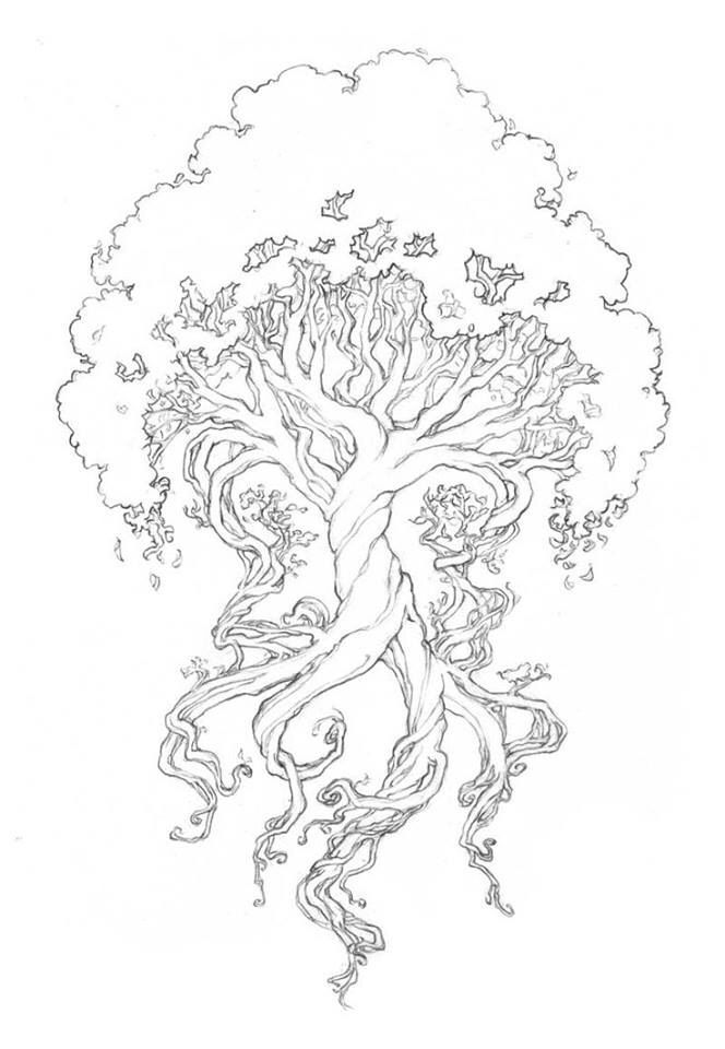 tree of life coloring pages for adults