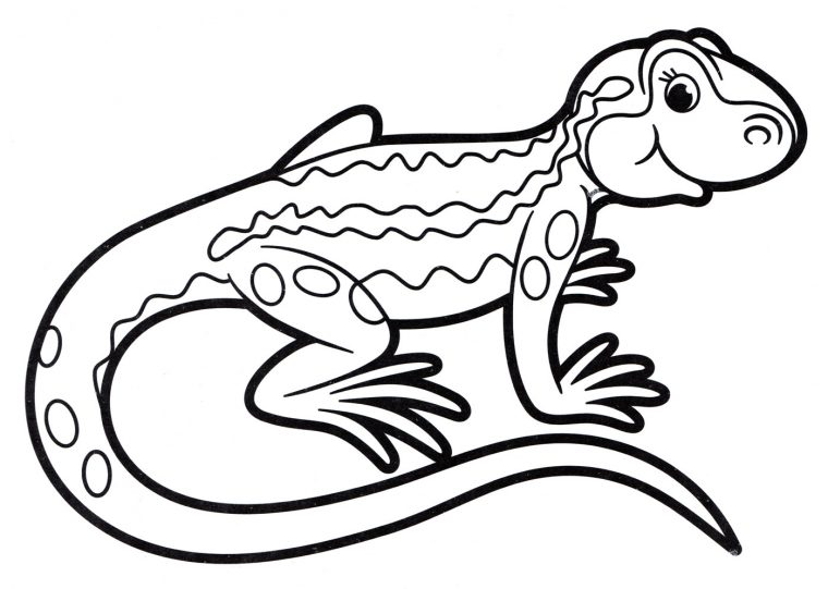 printable lizard coloring pages
