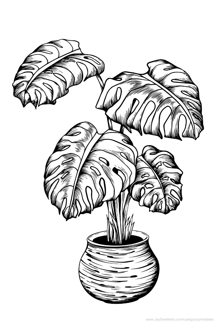 house plant coloring pages