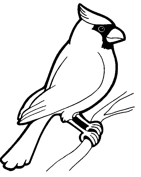 cardinal bird coloring page