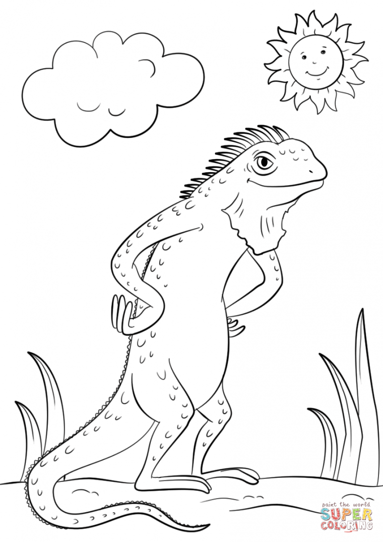 iguana coloring pages