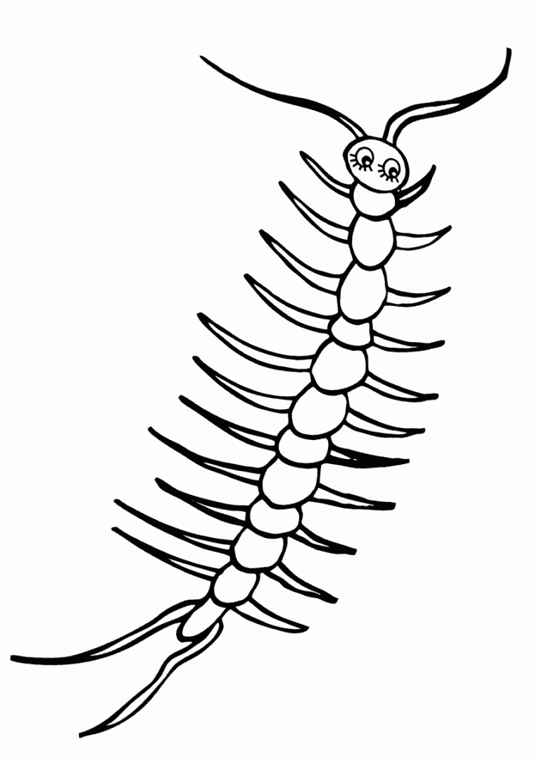 centipede coloring page