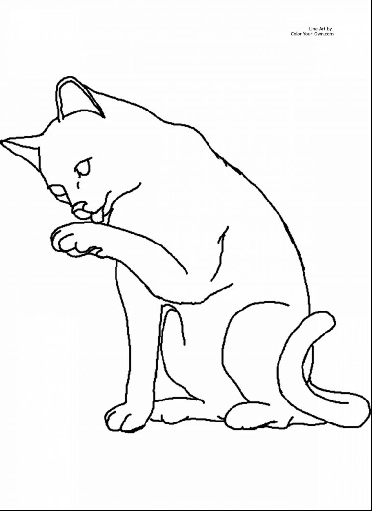 printable warrior cat coloring pages