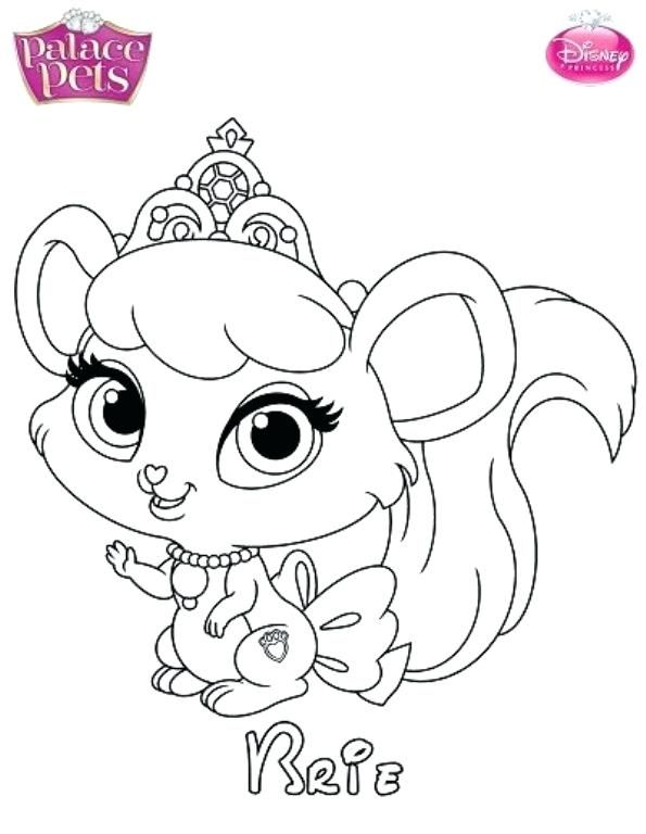 whisker haven coloring pages