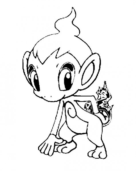 chimchar coloring page