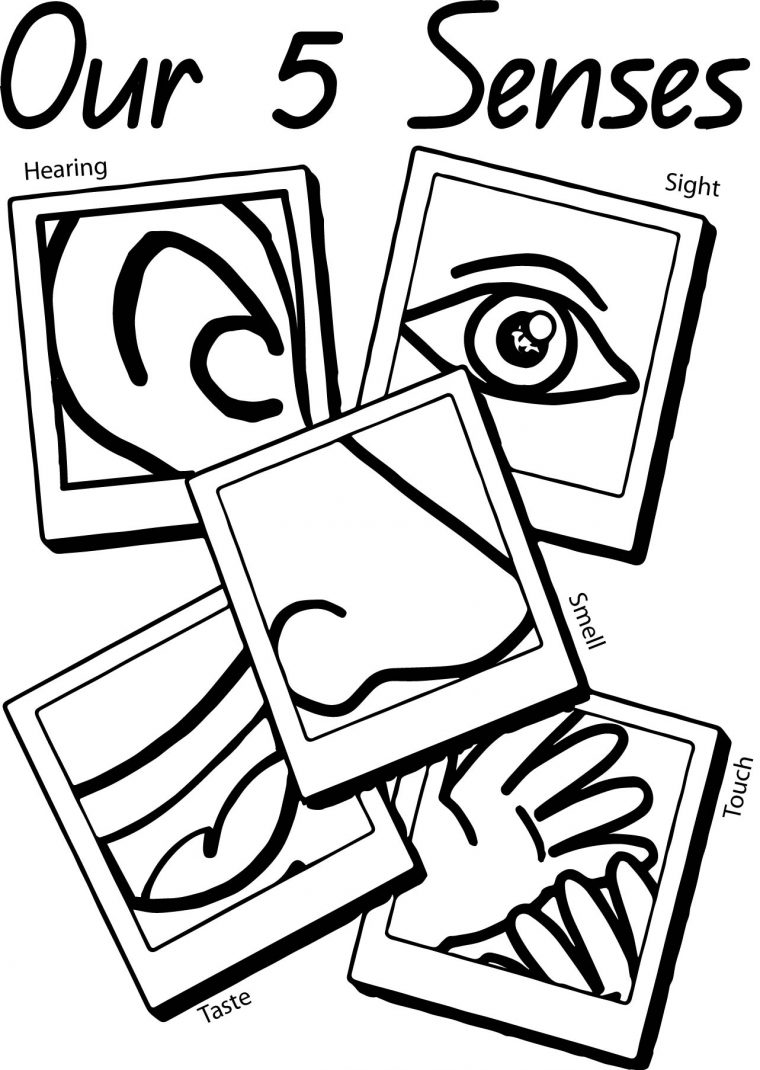 five senses coloring pages for preschool