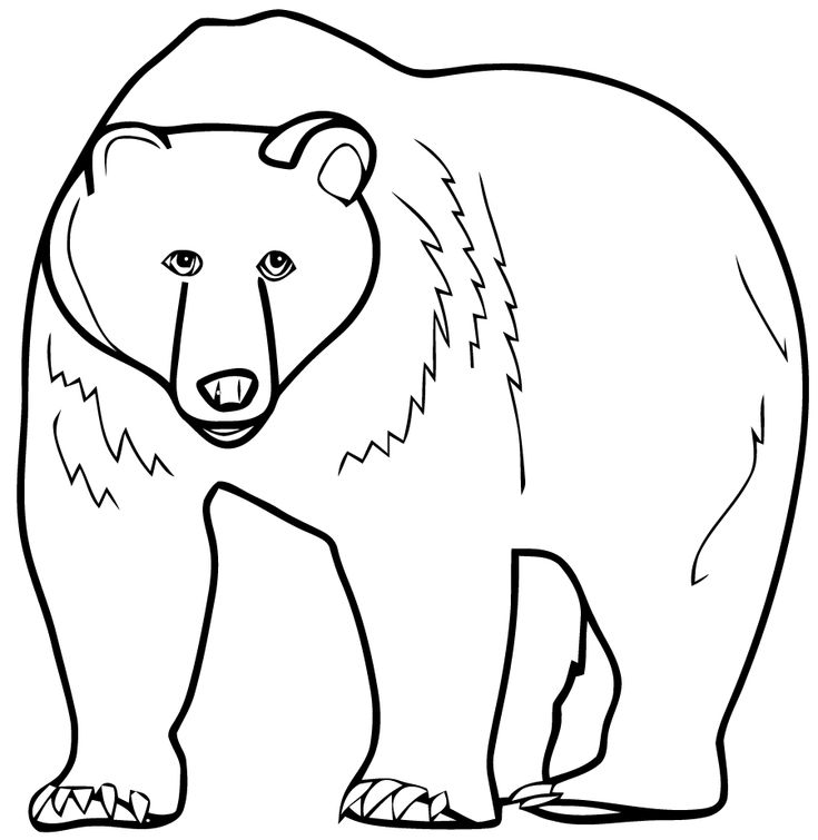 bear coloring pages preschool