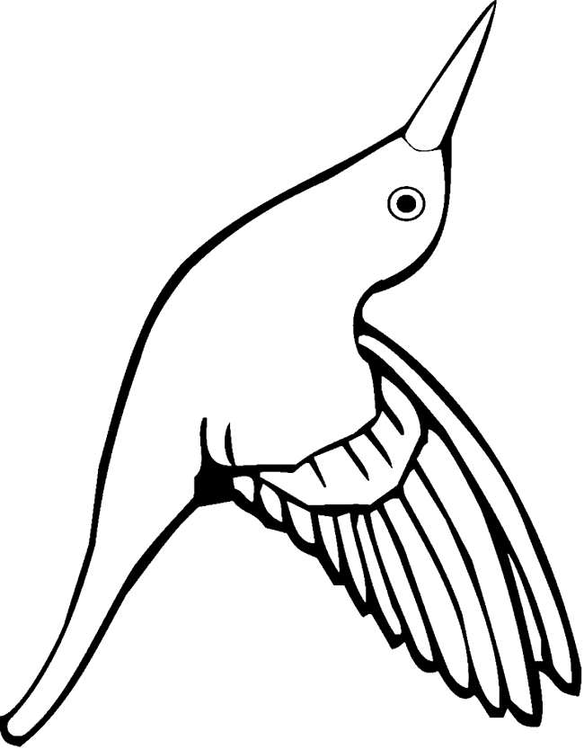 hummingbird coloring pages finished