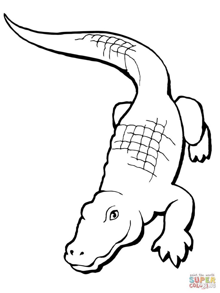 cute alligator coloring pages