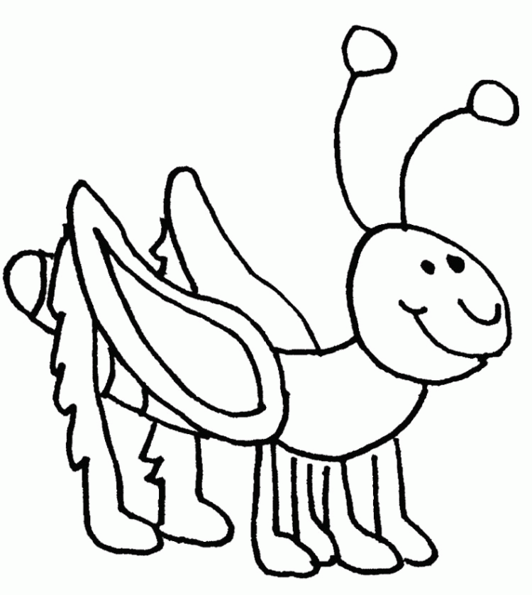 grasshopper coloring pages