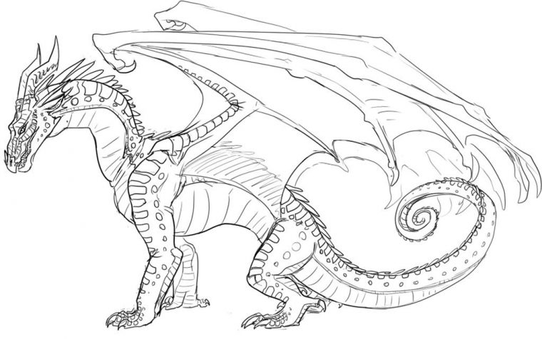 wings of fire coloring pages rainwing