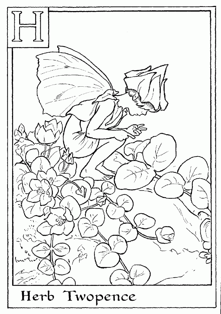 flower fairy coloring pages